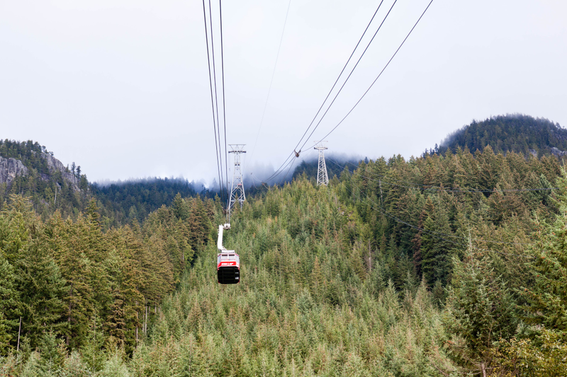 Illustration for article titled Pics from the (Mountain)side: 2016-10-10 at Grouse Mountain